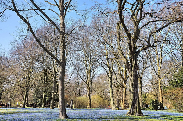 Fruehling2012   036.jpg